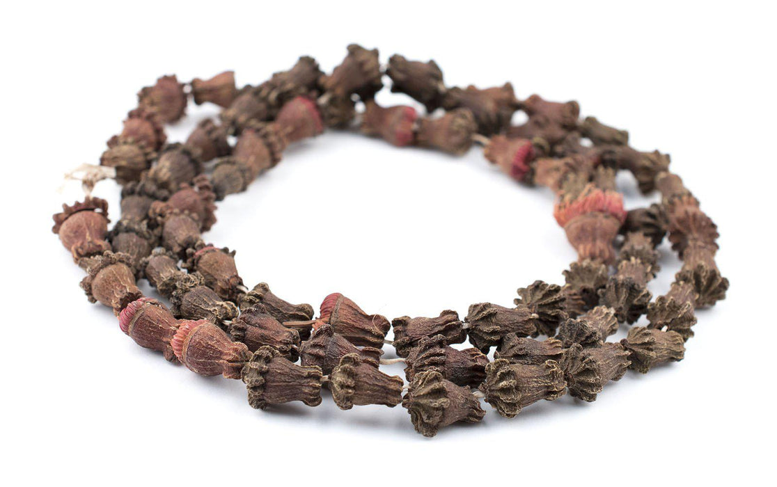 Clove-Shaped Aromatic Moroccan Eucalyptus Beads - The Bead Chest