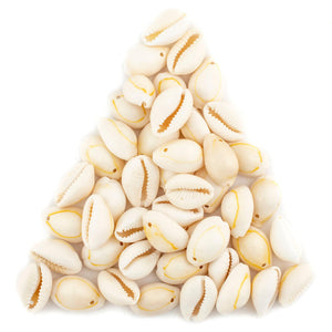 Beige Drilled Cowrie Shells (Large)