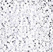 Close-up of opaque white Miyuki seed beads #402, size 11/0, with a glossy surface and small center holes