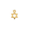24K Gold Plated Star of David Charm (12x9mm)