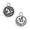 Antiqued Silver Capricorn Zodiac Charm (19x16mm)