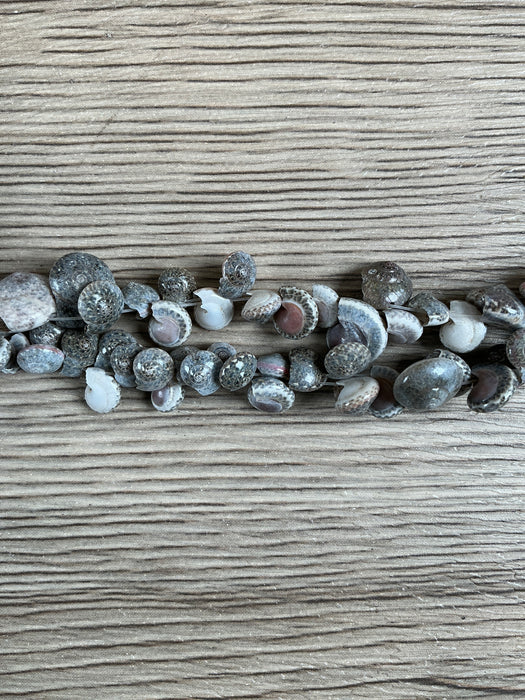 Hidden Gems: Assorted Natural Shell Beads (Small)