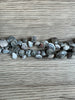 Hidden Gems: Assorted Natural Shell Beads (Small)