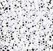 Close-up of opaque white Miyuki 8/0 glass seed beads with visible holes, piled together