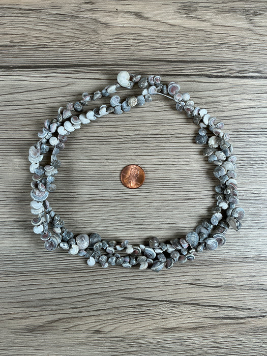 Hidden Gems: Assorted Natural Shell Beads (Small)