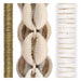 Cowrie Shell Bead Set: Brass Heishi & White Bone (3 Strands, 3-15mm)
