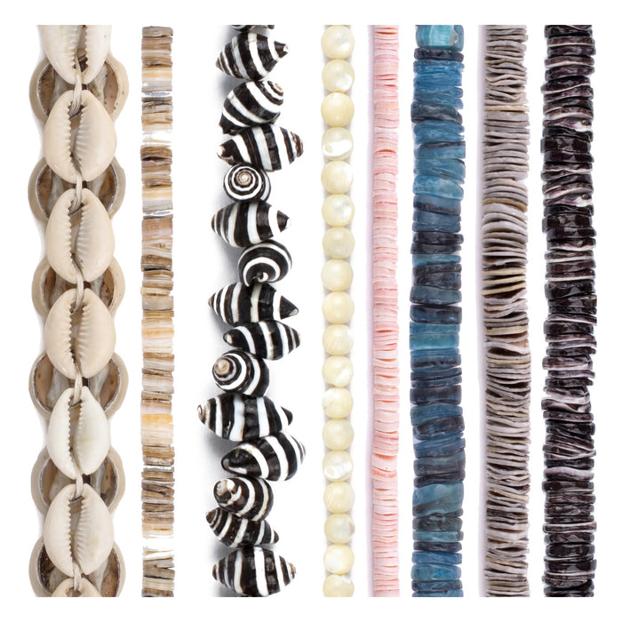 Shell Bead Set: Cowrie, Zebra & Mother of Pearl (8 Strands, 4-15mm)