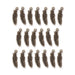 Antiqued brass pewter feather charms arranged in three rows on white, 20 charms shown