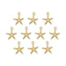 24K gold plated sea star charms, ten charms laid out in rows on a white background