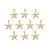 24K Gold Plated Sea Star Charm Set (10 Pack, 20x18mm)