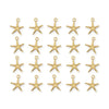 24K Gold Plated Sea Star Charm Set (20 Pack, 20x18mm)