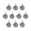 Antiqued Silver Earth Charm Set (10 Pack, 16x12mm)