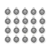Antiqued Silver Leo Zodiac Charm Set (20 Pack, 19x16mm)