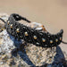 Black macrame bracelet with gold beads made from black waxed linen cord, resting on a rock