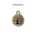 Antiqued brass tree of life charm, front