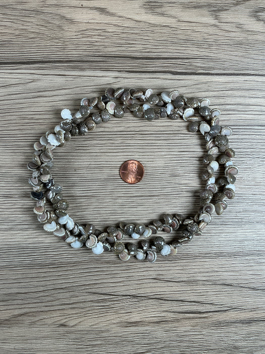 Hidden Gems: Assorted Natural Shell Beads