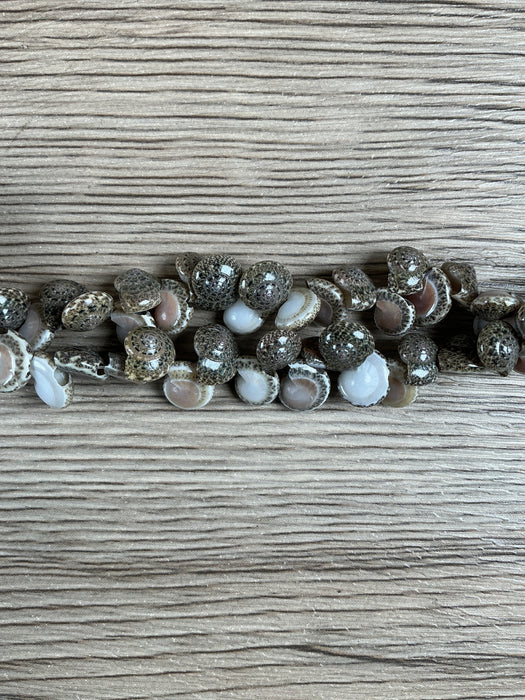 Hidden Gems: Assorted Natural Shell Beads