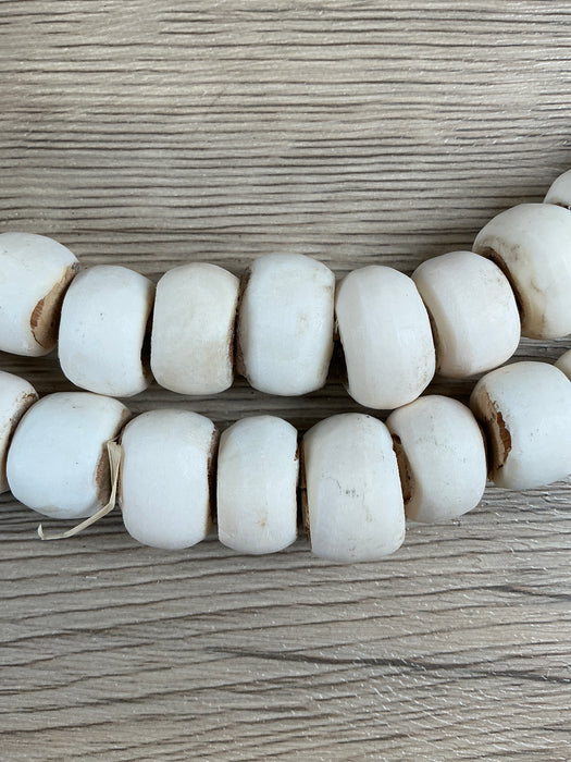 Hidden Gems: White Kenya Bone Beads (Large)