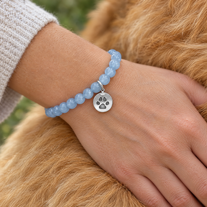 Antiqued silver paw print coin charm on a light blue bead bracelet, design idea