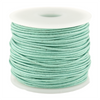 0.8mm Mint Green Round Leather Cord (75ft)