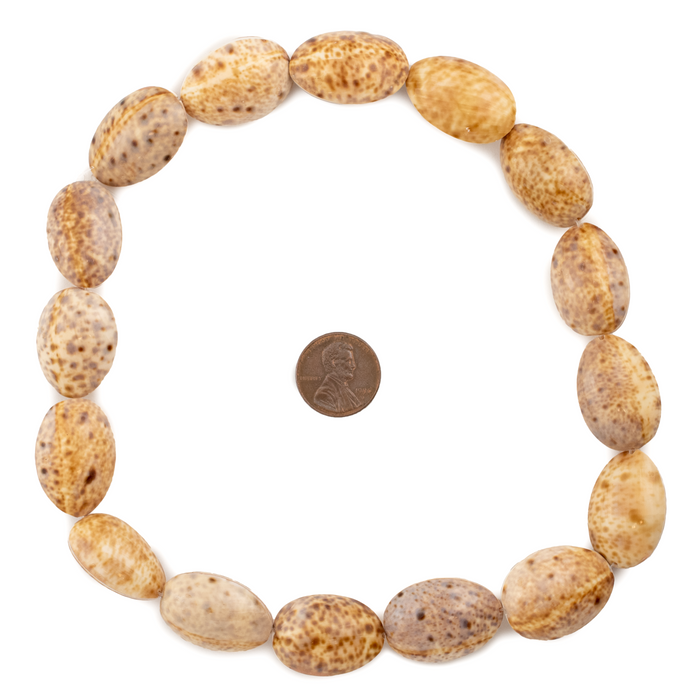 Beige Decorative Shell Beads