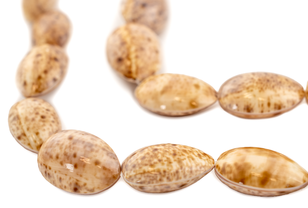 Beige Decorative Shell Beads