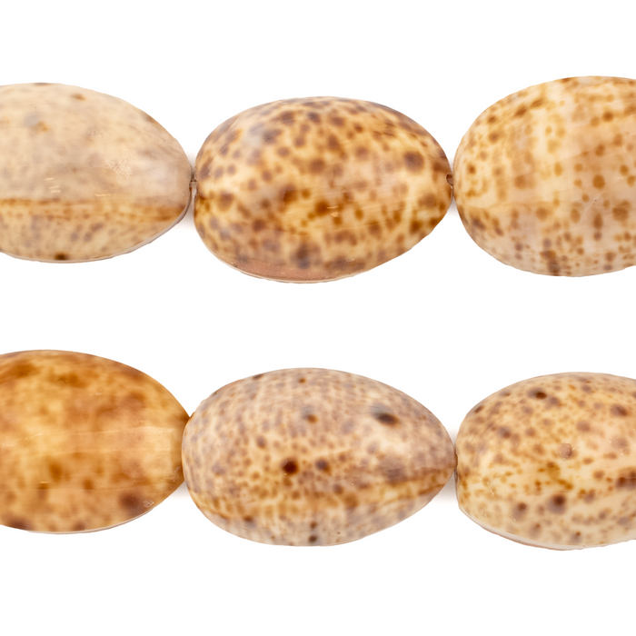 Beige Decorative Shell Beads