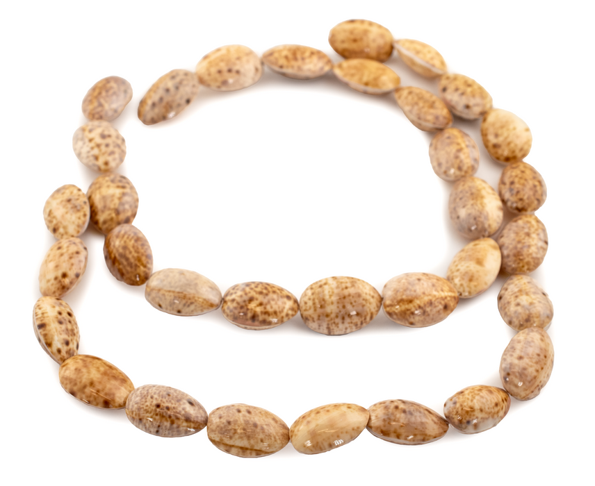 Beige Decorative Shell Beads
