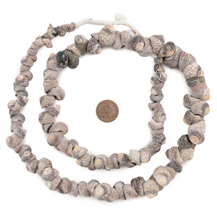 Gambian Grey Natural Seashell Beads