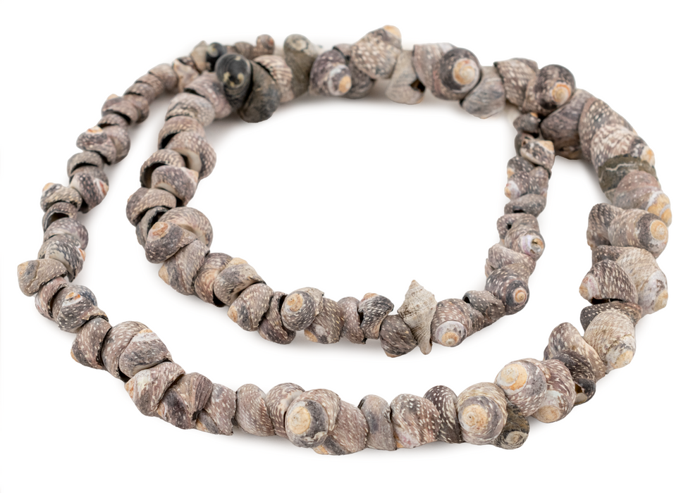 Gambian Grey Natural Seashell Beads