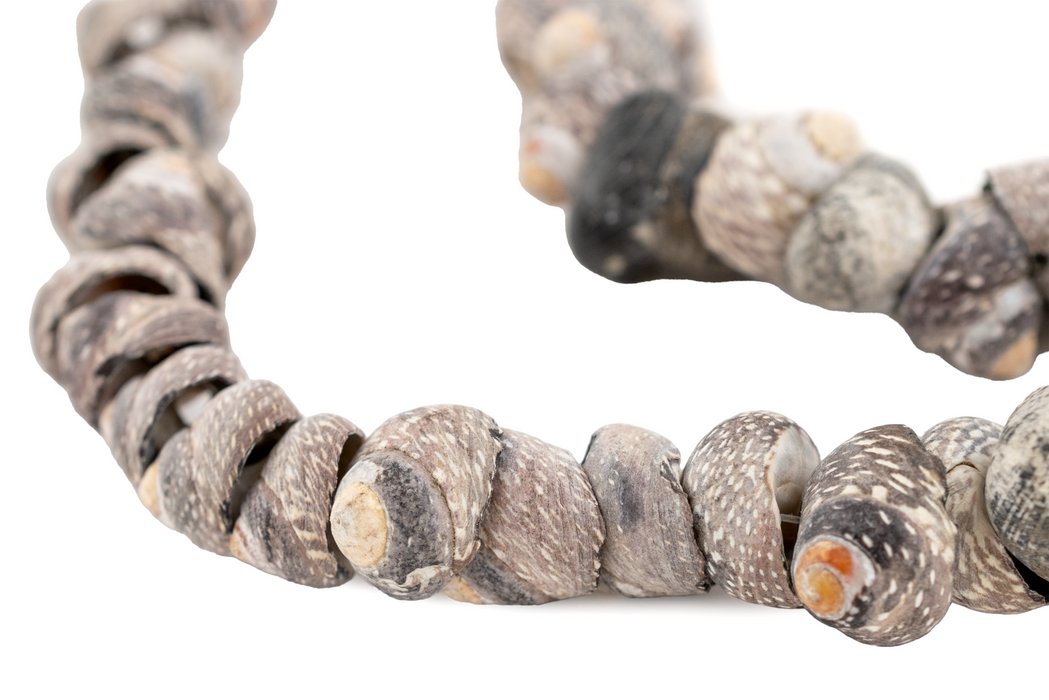 Gambian Grey Natural Seashell Beads