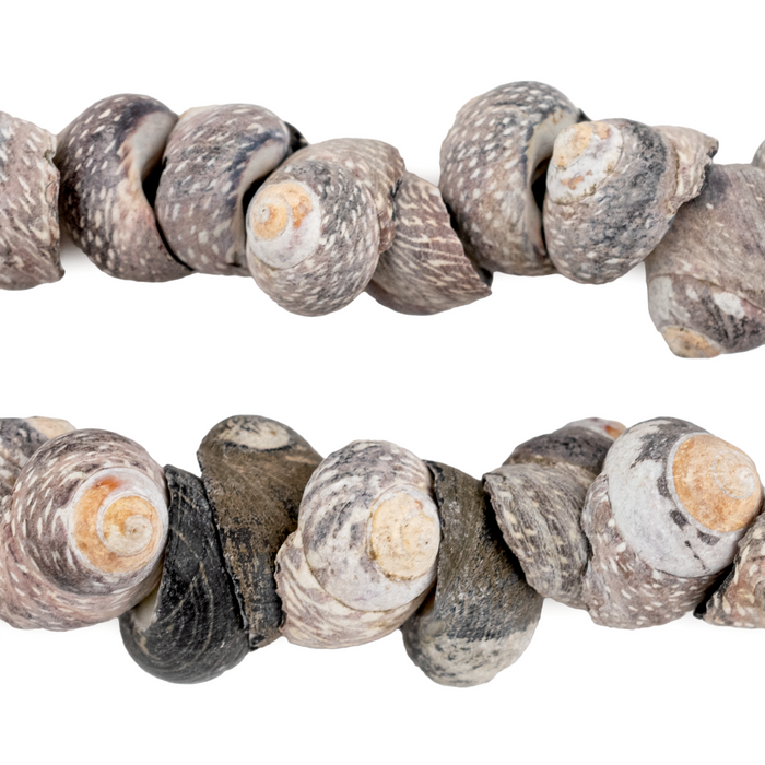 Gambian Grey Natural Seashell Beads