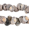 Gambian Grey Natural Seashell Beads