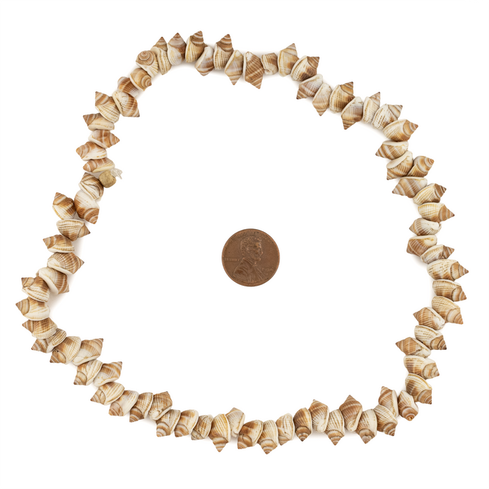 Bronze Shoreline Natural Shell Beads