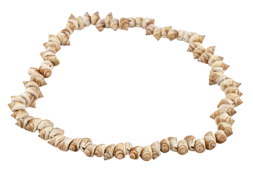 Bronze Shoreline Natural Shell Beads