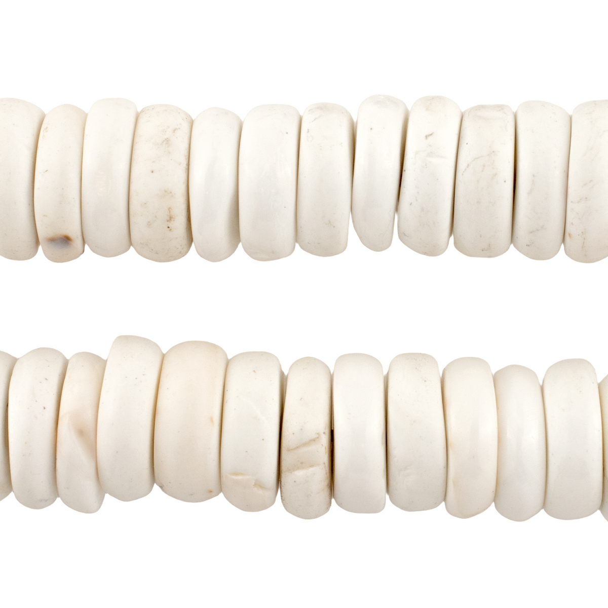 White Naga Conch Shell Disk Beads (14mm) — The Bead Chest