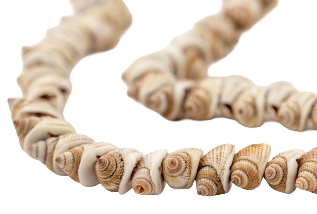 Bronze Shoreline Natural Shell Beads