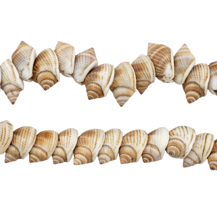 Bronze Shoreline Natural Shell Beads