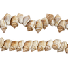 Bronze Shoreline Natural Shell Beads