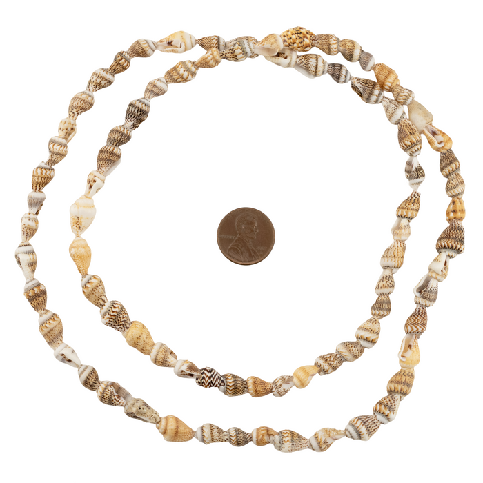 Sunset Shore Natural Shell Beads