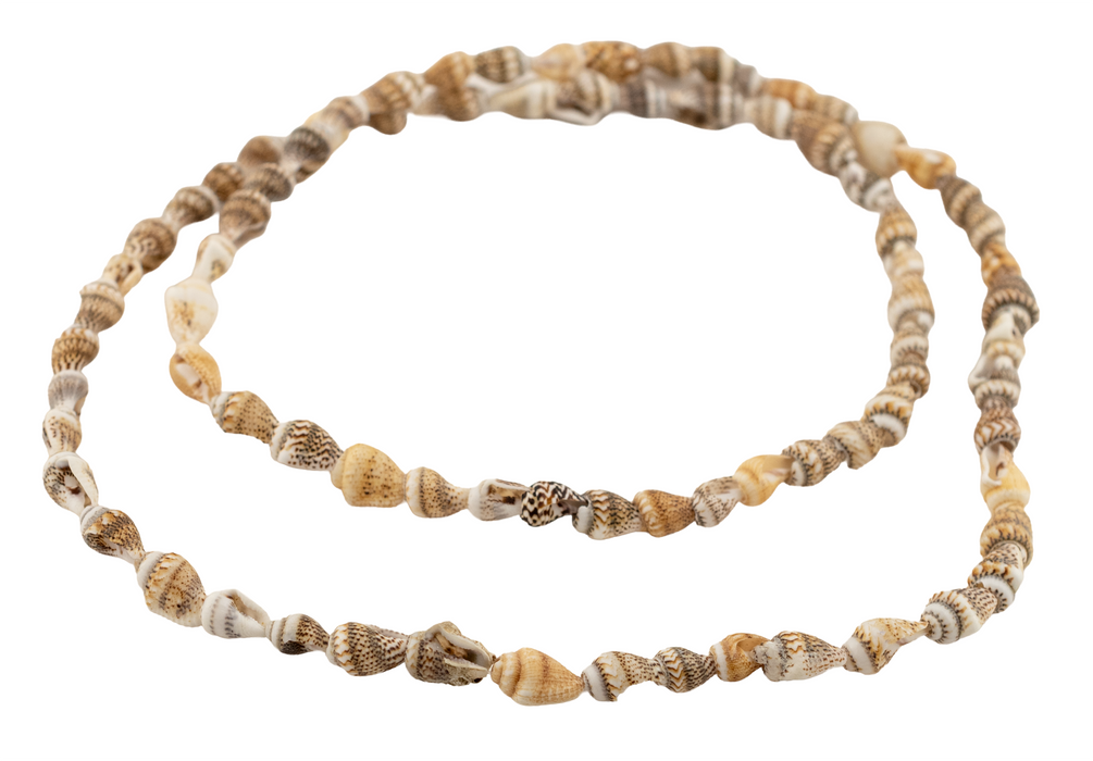 Sunset Shore Natural Shell Beads