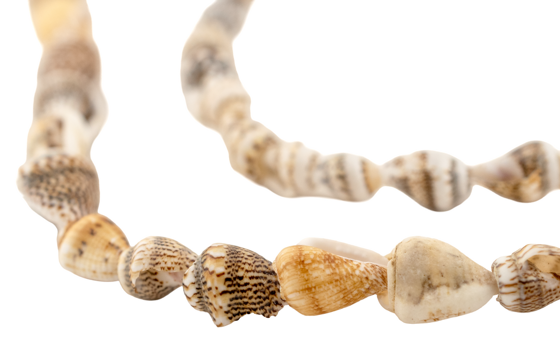 Sunset Shore Natural Shell Beads