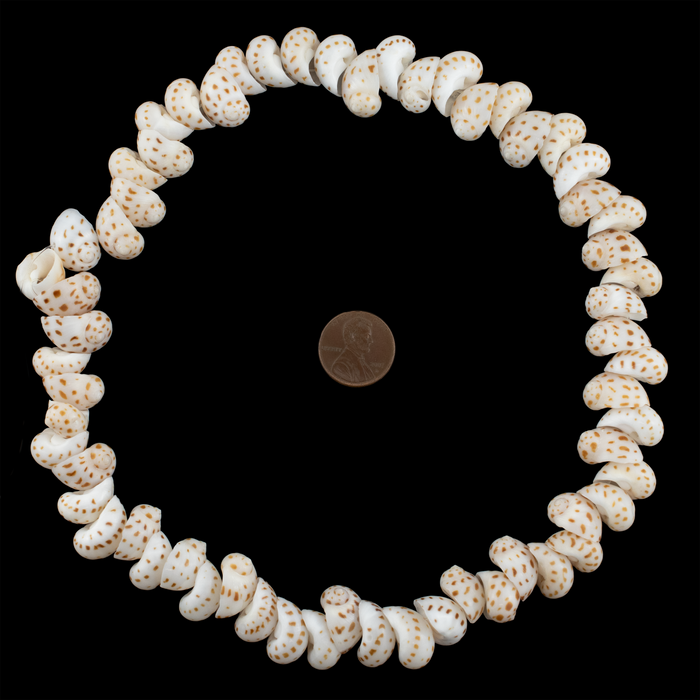 Speckled Tide Natural Shell Beads
