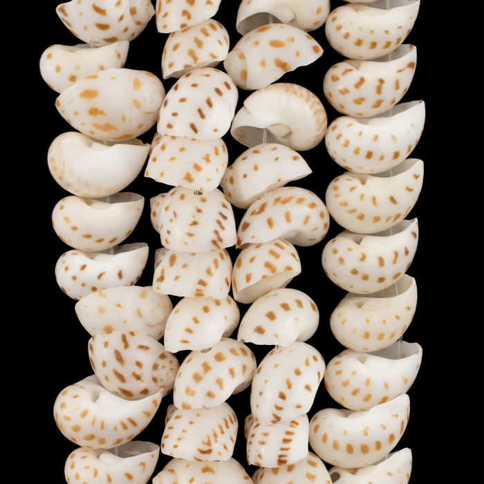 Speckled Tide Natural Shell Beads