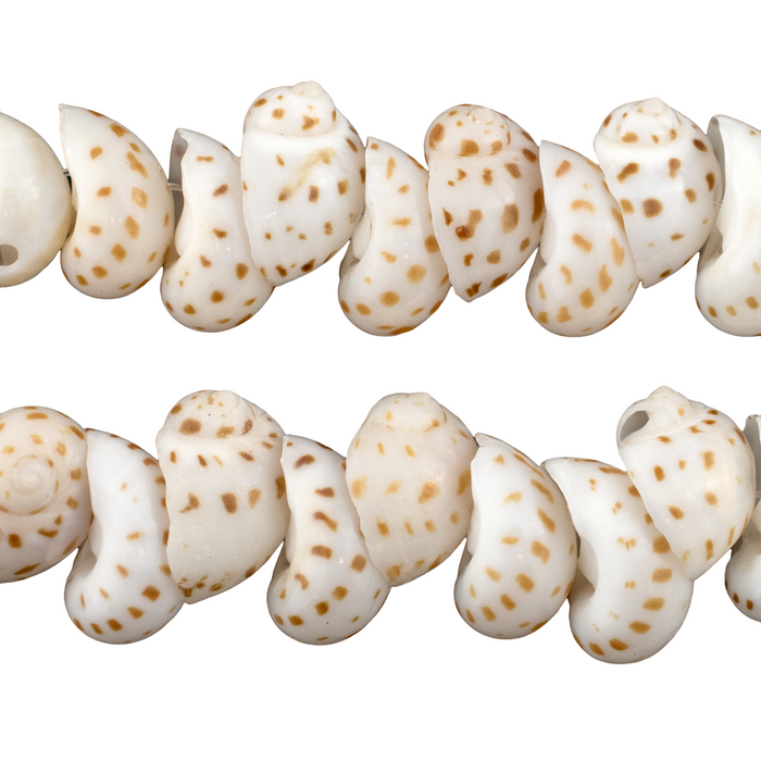 Speckled Tide Natural Shell Beads