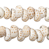 Speckled Tide Natural Shell Beads