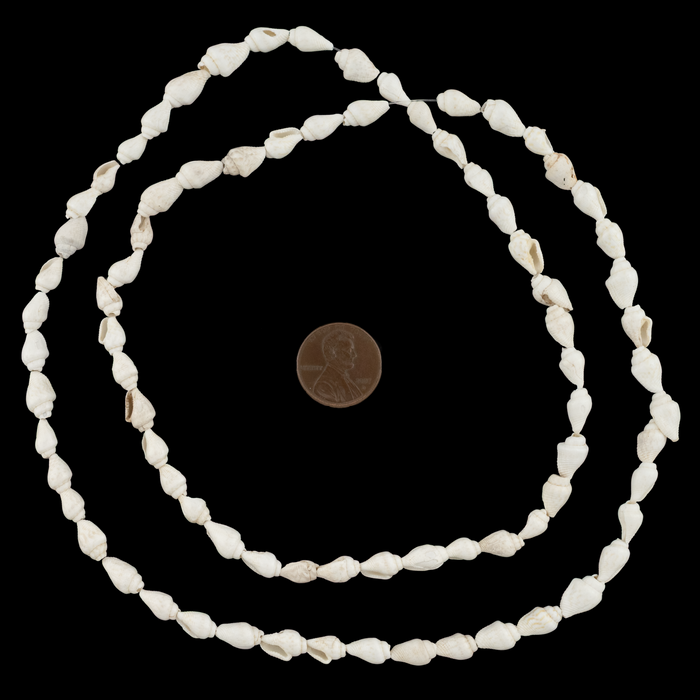 White Reef Natural Shell Beads