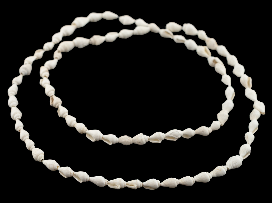 White Reef Natural Shell Beads