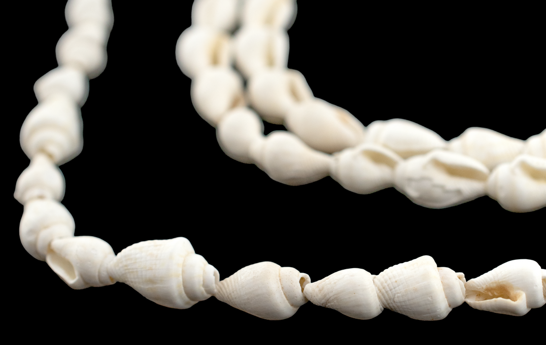 White Reef Natural Shell Beads