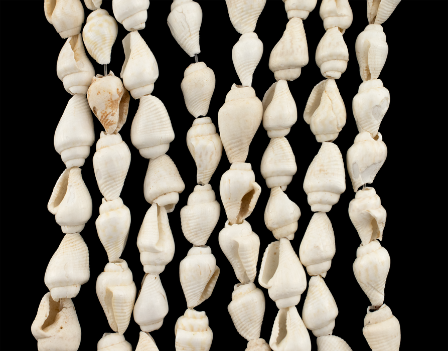 White Reef Natural Shell Beads